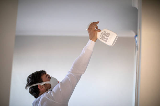Best Toxic Mold Removal  in Mount Zion, IL