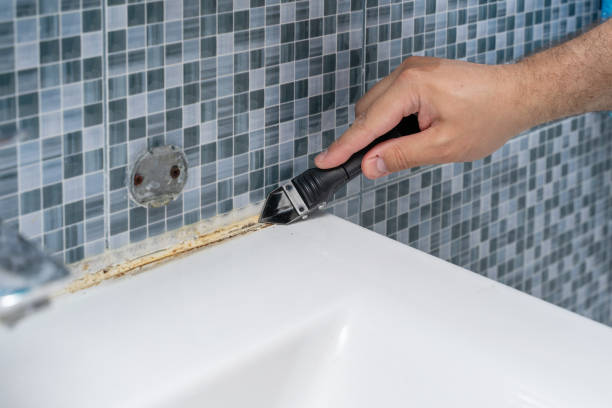 Best Emergency Mold Removal  in Mount Zion, IL