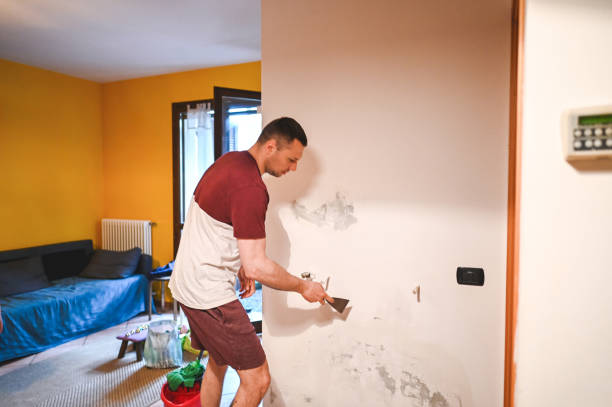 Best Black Mold Removal  in Mount Zion, IL
